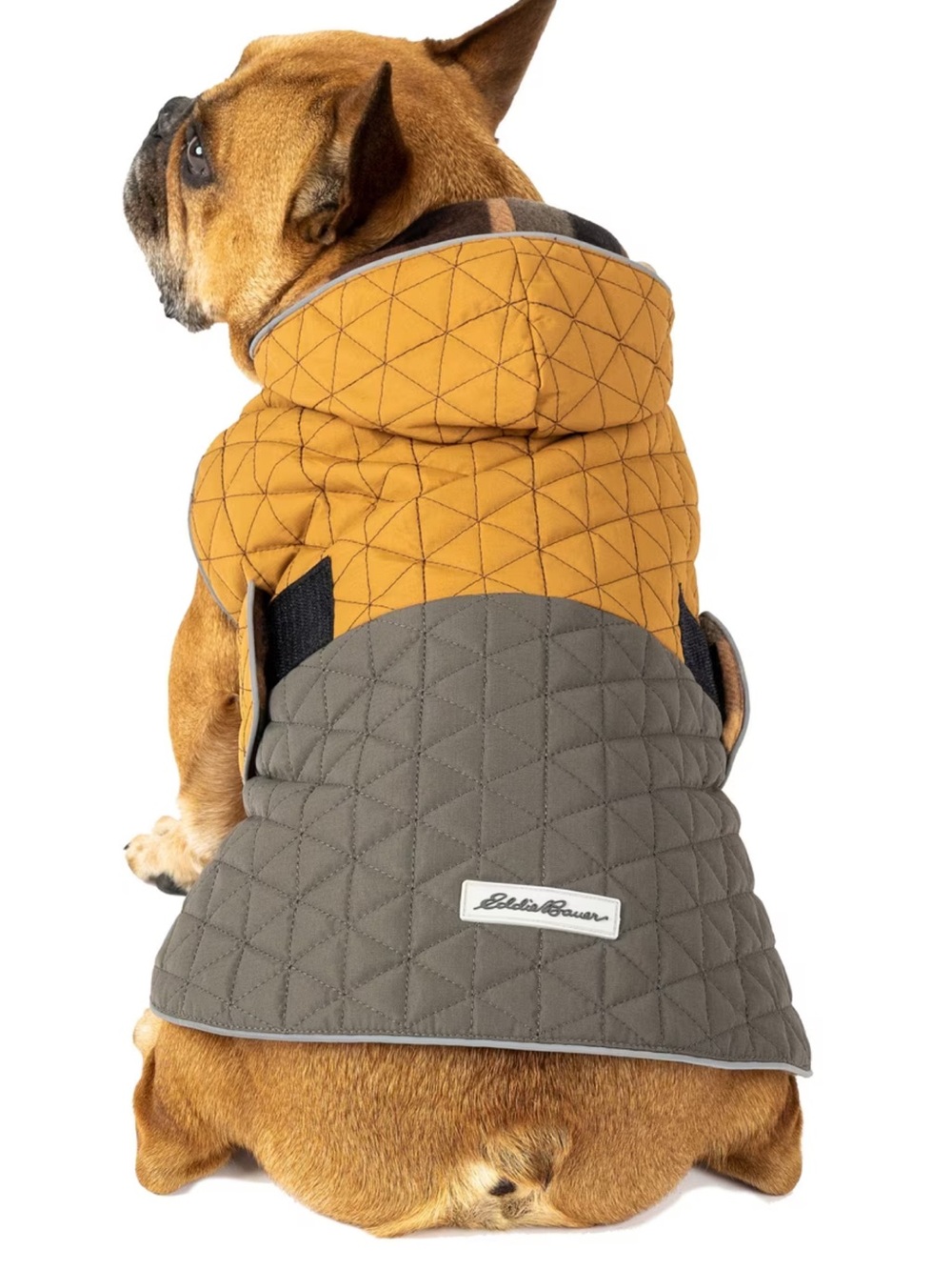Eddie Bauer Pet Richaland Quilted Dog Puffer Jacket Brown Grey Hooded M Fleece
